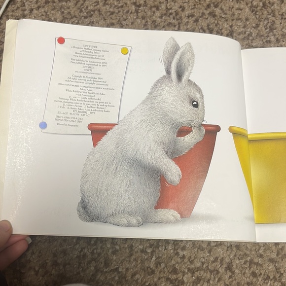White Rabbit’s Color Book by Alan Baker - Picture 4 of 7